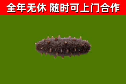 比如县烟酒回收干海参.jpg
